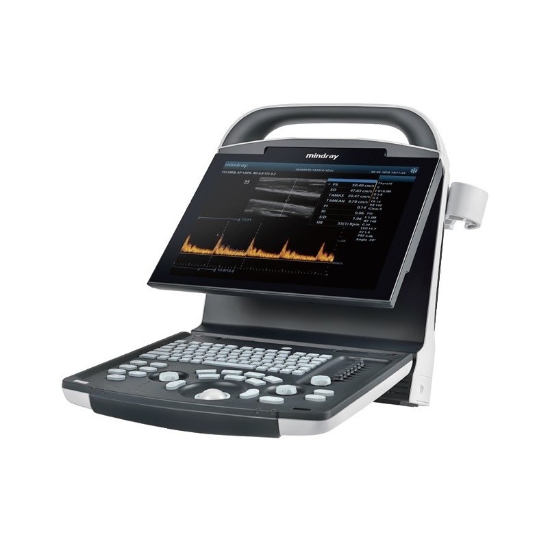 Ecografía para fisioterapia y rehabilitación en Alicante | Bio Ems Fitness Studio