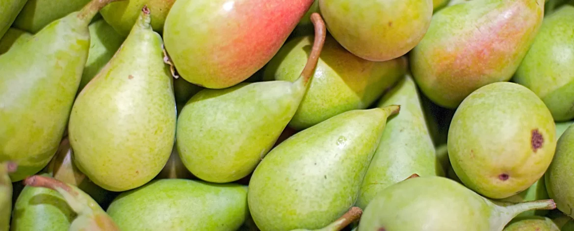 Peras frescas, fruta rica en fibra y beneficios nutricionales